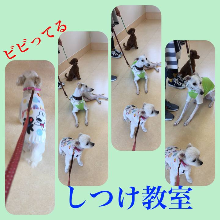 4a8ec31d 800f 4024 88df 32d2c7d66ba6 1537686440001