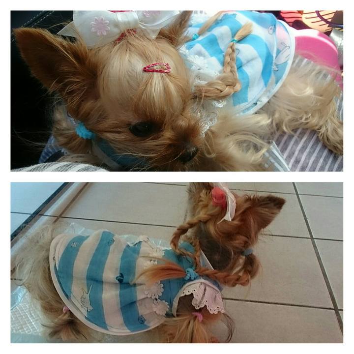 4a8efdae 6755 4026 98b4 1d96aa82c644 1526787922876