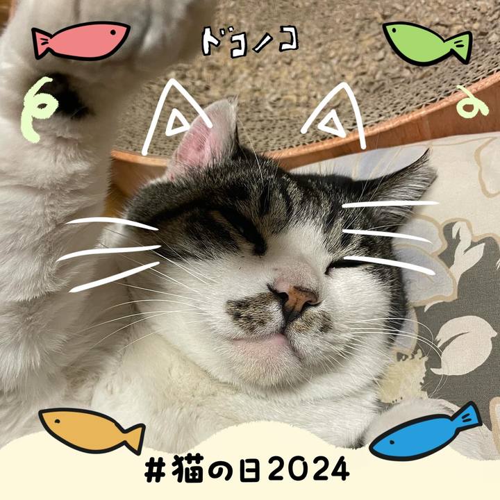 4a8eff35 4c0f 46b2 8efc 90d9acd3b9dd 1708590628983