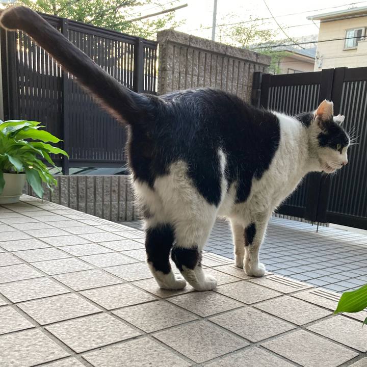 4a8f1b2c 76bb 42ad 950e 78a22c9fec8d 1776581742556