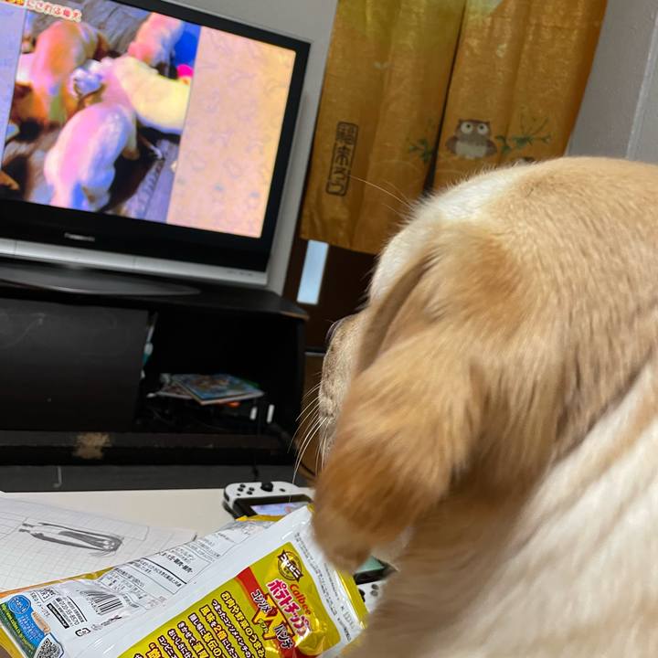 4a8f292c a45c 4b1a 8ac8 564607d4f555 1648691067422