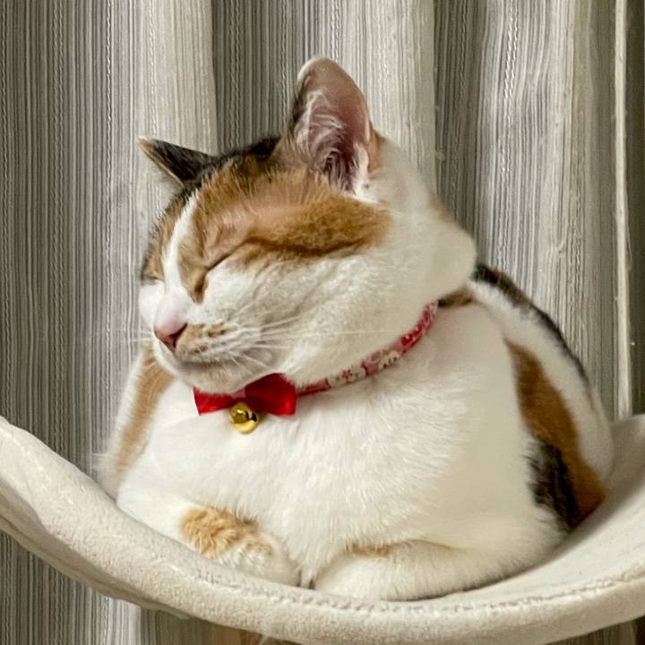 4a8f296e e825 4f28 aa18 f9839aacaad9 1614950302946