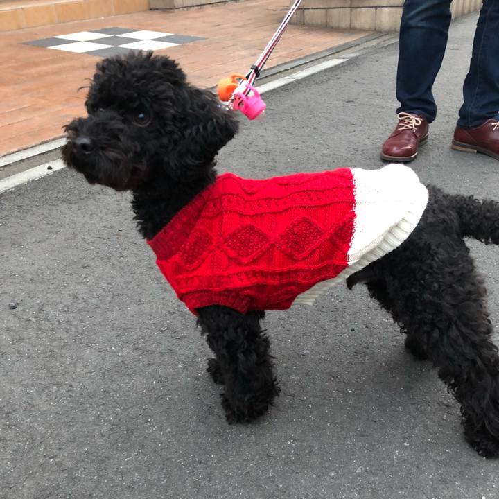 4a8f58d2 9b4e 432d b2c1 352a8ce4ce57 1544946325266