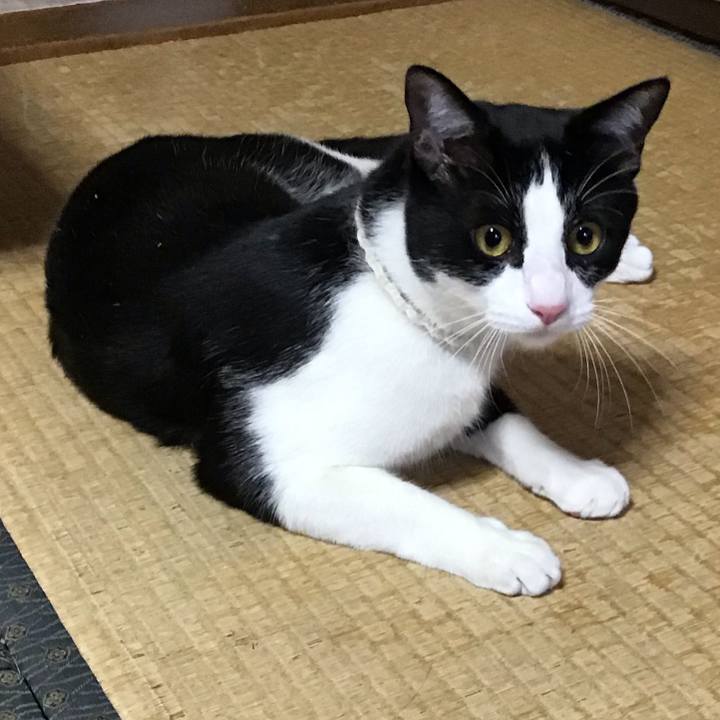 4a8fa23c 44c6 4969 8160 8d367a7a0a40 1654332815036