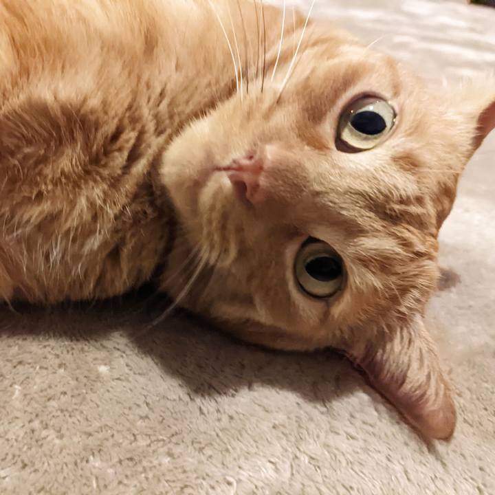 4a8fe541 cf09 438c bf25 e47284d7fb86 1669285687256