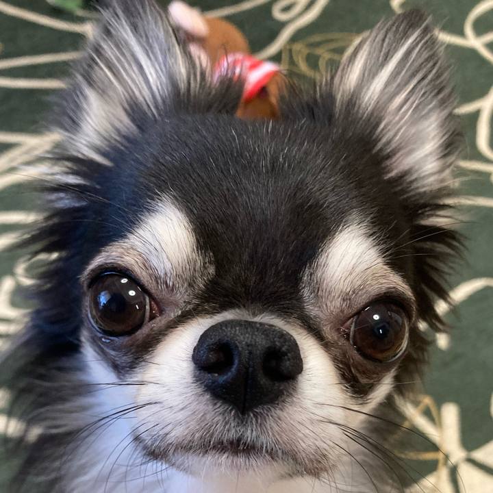 4a8fed23 450f 463d 81d1 40d5e1443fc7 1636755739325