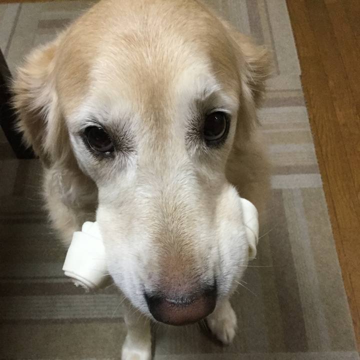 4a9000af f274 4702 a3ce ebeca1799f94 1571478533424