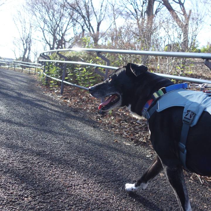 4a900ac2 23d5 436b a8a1 cd46406b03a7 1710290859265