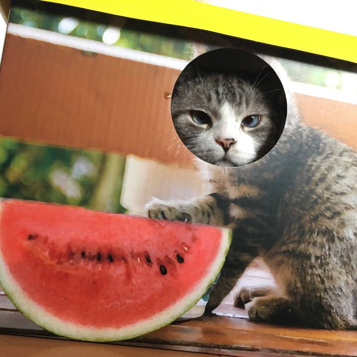 4a9021f5 b5f5 42c8 80e8 7cc1785736a1 1562118263405