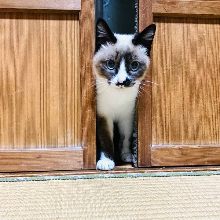 4a905bc6 e360 4e64 8ab7 e666603a94a7 1682375296507