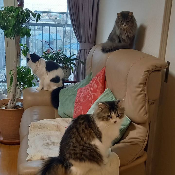 4a906ca9 d53e 4851 a460 fe6fda9c32d6 1644275963132