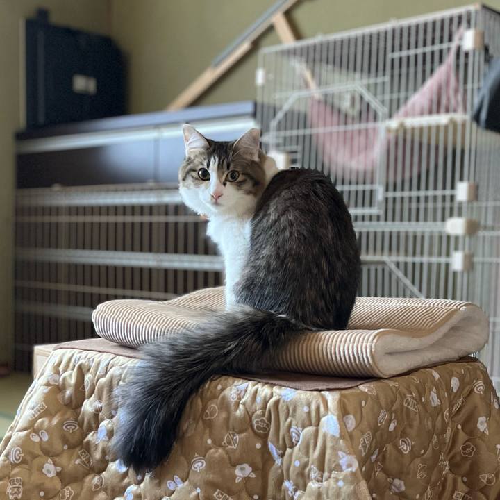 4a909bac e890 49c0 881e 449dbc0fae28 1700287526447