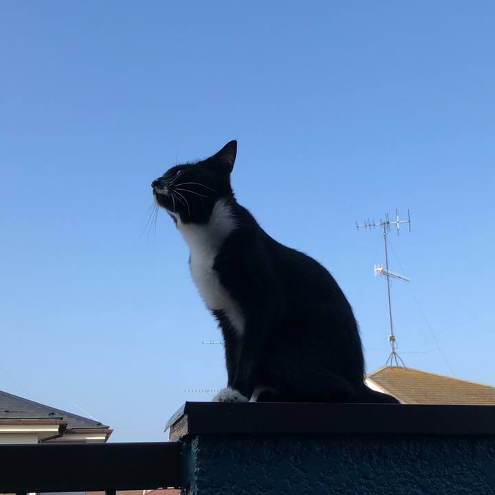 4a90dfce a33f 492c 8c86 309e4bde1e33 1566110503163