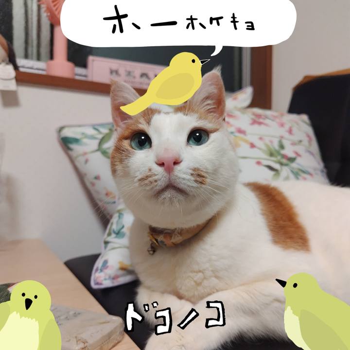 4a9108c4 b810 4463 9eb4 2f58f8a5ac2d 1710993813721