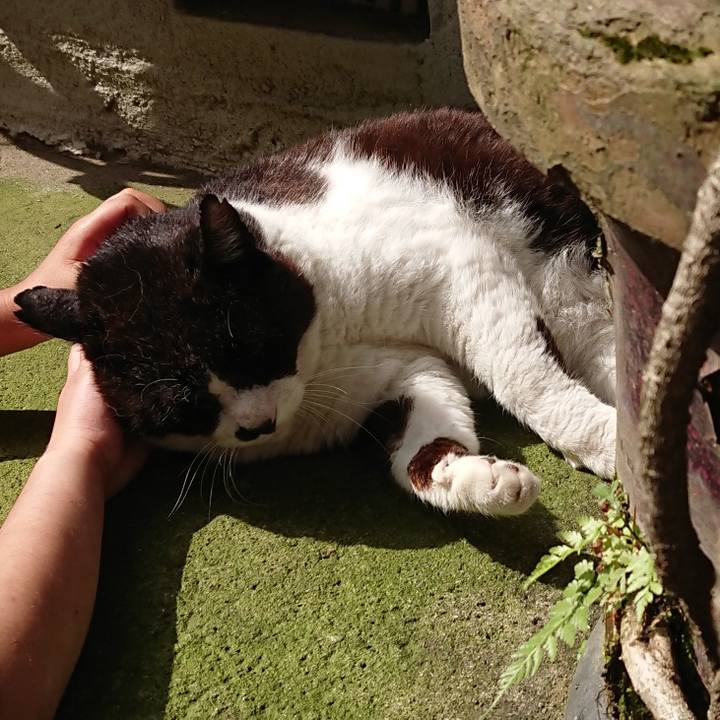 4a911e4a 7257 4fe0 8da6 35a2e0b17dc8 1685921004690