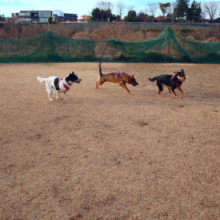 4a912237 1e03 4bd8 946f a75f6e778621 1735609258028