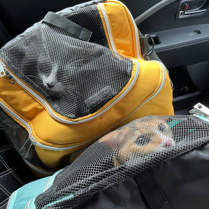 4a9143d7 dbb7 4b0b 892b 3f844adb6b54 1670033663590