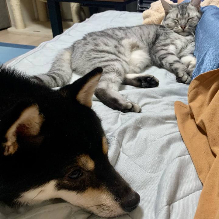 4a9158cc 246b 480b a07e 4ba87ad01b0a 1630717718155