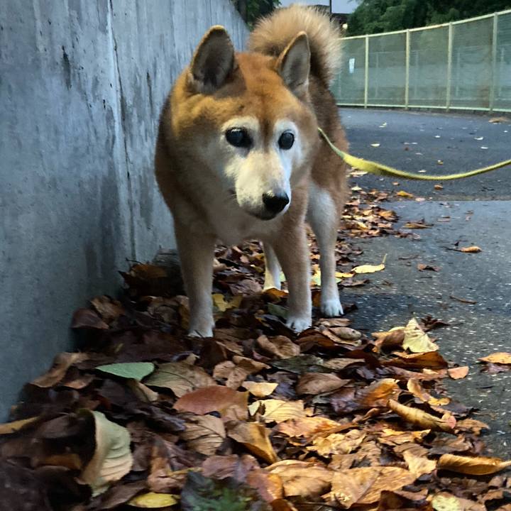 4a917885 93e8 4209 bb9e 412a4a216724 1696151176585