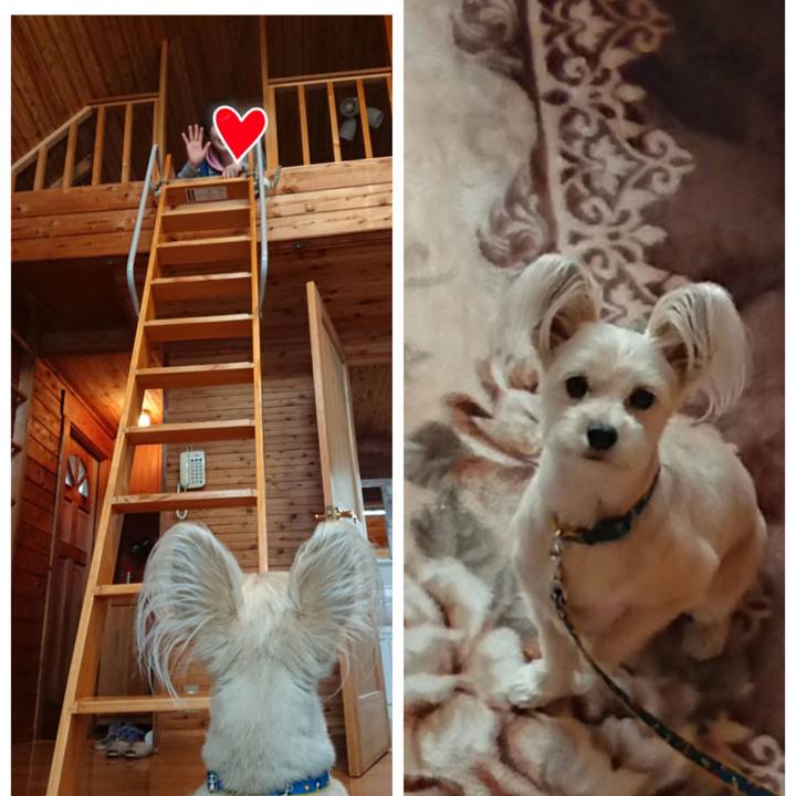 4a917f7c 885c 4b5b 886a 35e7c1999aae 1524016992530