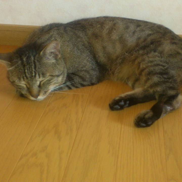 4a919044 c386 497f a950 ebd5c796f954 1534315245513