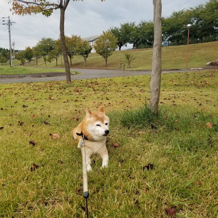 4a91c9ac 89e8 4f58 97fa 901c93333a61 1696059079595