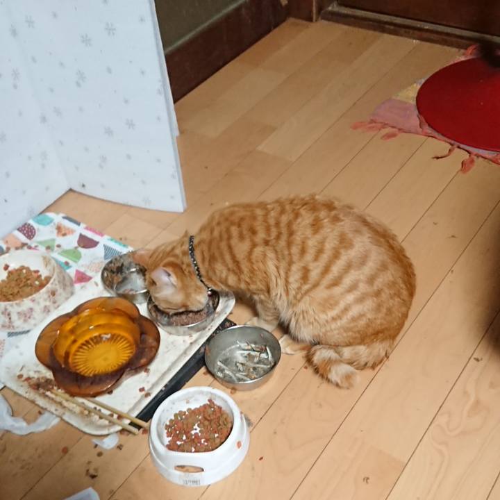 4a920d7d 8996 44fb a55b 96deb5578aab 1647119086276