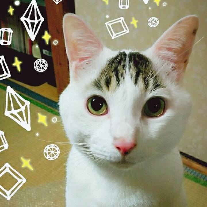 4a9210fd 1669 435b a0f8 ad5f49336c01 1542701980227