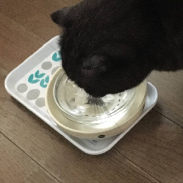 4a92bdc9 c305 4ff0 8d52 658037265825 1571274167140