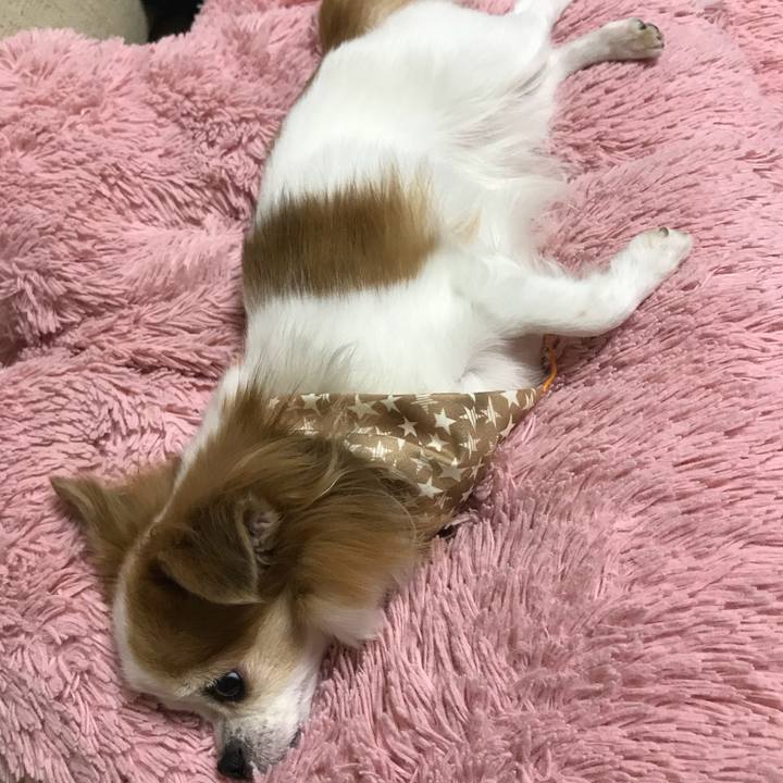 4a92efe3 b276 4b65 92cb 1589a01b3ba2 1538572063523