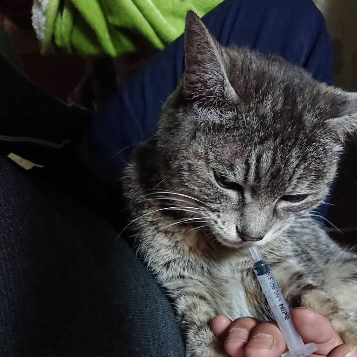 4a930e7d 3716 4d5d 9998 80c436536ce5 1583964442232