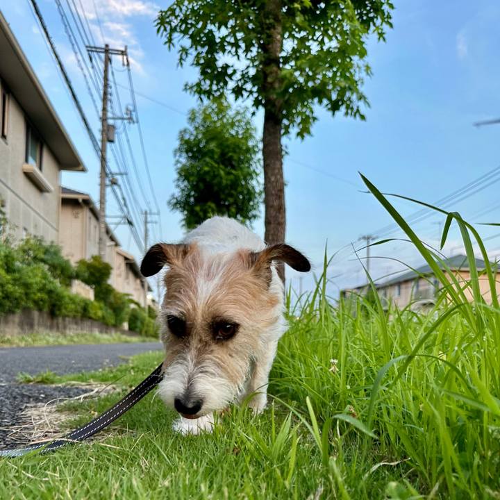 4a931b7f 1b6e 4ae2 92c5 b985daa591e9 1721802453414