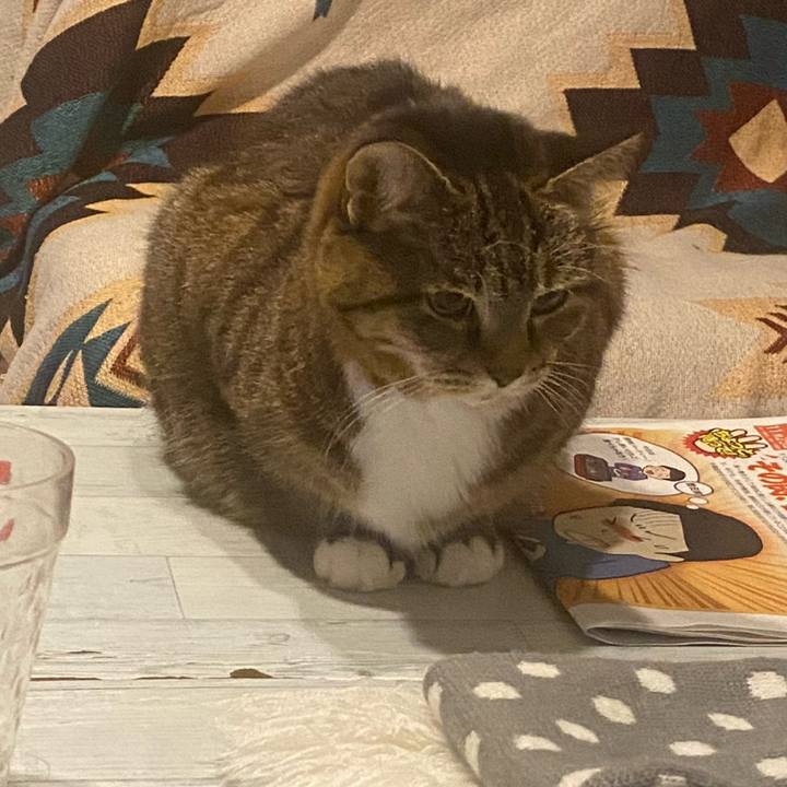 4a934955 79e6 408a bf0e 1281951a24f9 1732278203297