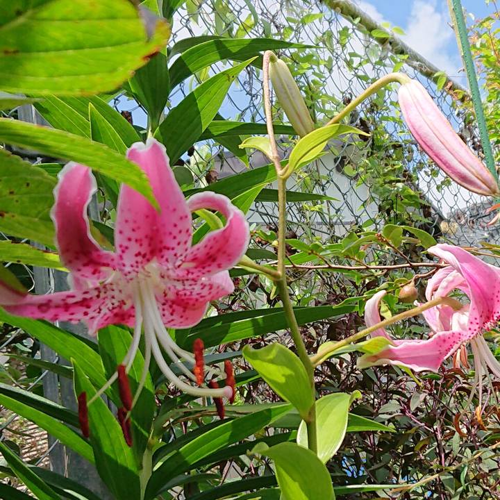 4a935c09 e19b 45fc 9d74 0669a3b240fe 1596939925570