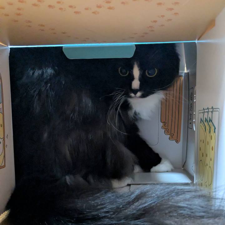 4a939baf 6a43 407b a28c 920f72e5b950 1742470170549