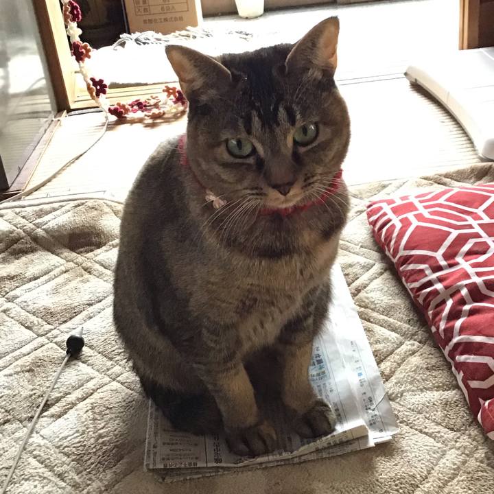 4a93c28b 4fef 474f 989c 3004435fa8ec 1613544378515