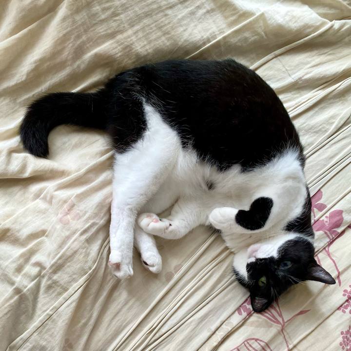 4a93e455 bb0a 4bbf bd1d 7d7f2c16353f 1687770221275