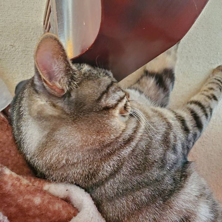 4a93f34f f468 4ca0 a946 73e0c0630db0 1702086911439