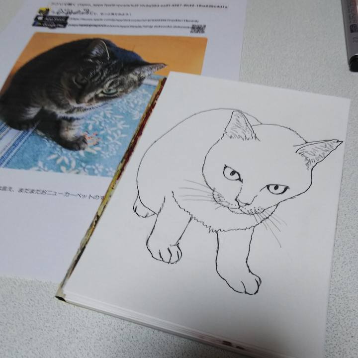 4a940487 31d9 4f5a 8cae e1c424fee2f4 1549715143579