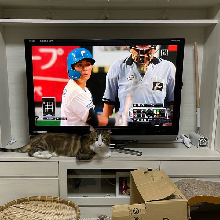 4a9416ef 434e 4d35 a3cc bd1e52a3dd29 1660824667944