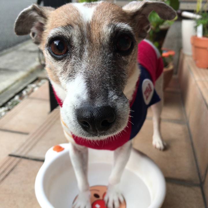 4a941bea 6881 4831 b7a3 f200ad08aa64 1544398116391