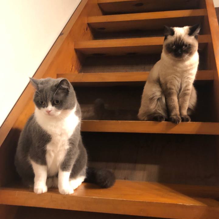 4a946ddb 75b8 4d9c 8561 df3bf07a8e00 1600131706136