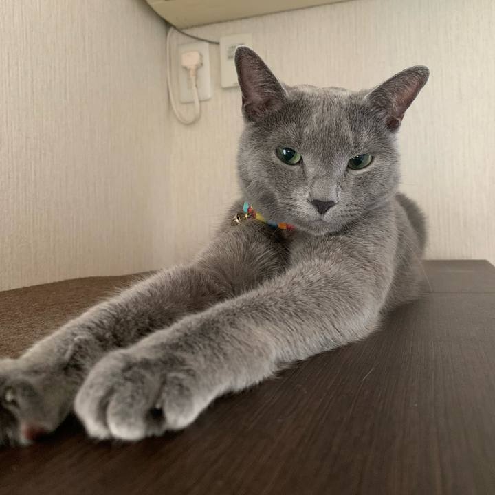 4a94ab58 6007 488e b57a c20eda701682 1672361991214