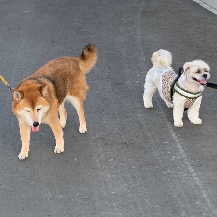 4a94b398 72f4 4da7 b7d5 b7cbf7a7cf73 1657454376425