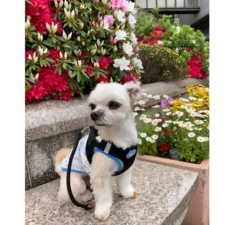 4a94c039 bb3e 4499 bc56 bd16111e14ad 1556190263178