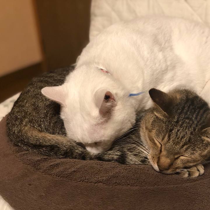 4a94eaba 9a82 4047 9841 581386f9e495 1573308029607