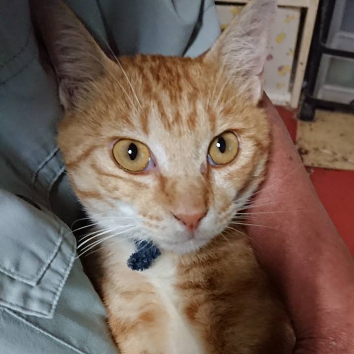 4a9529b3 89e1 4283 a35f 02e319a26c61 1562634641887