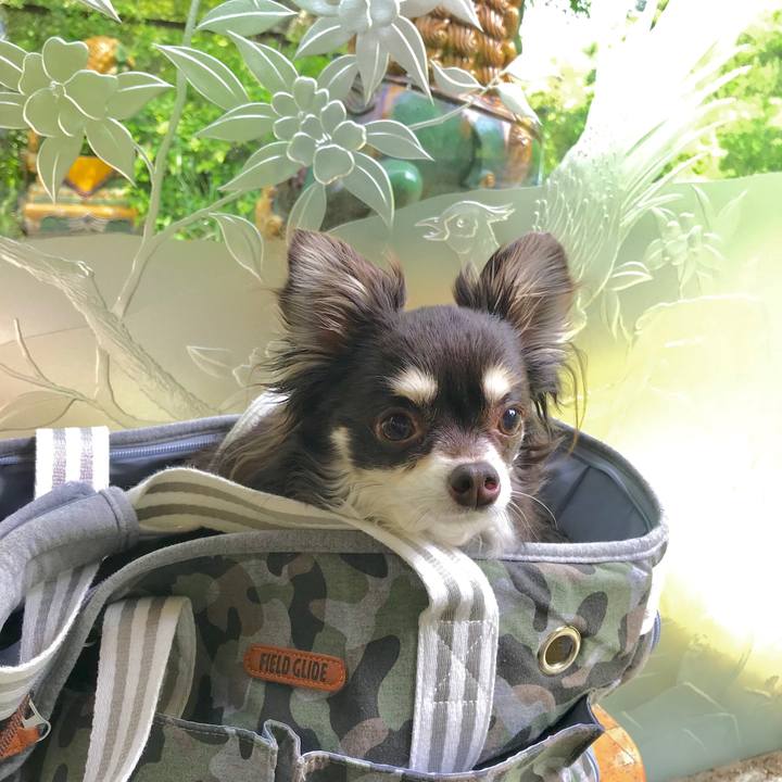 4a952d40 76f4 46eb 8556 1d6423d86e91 1570929724138