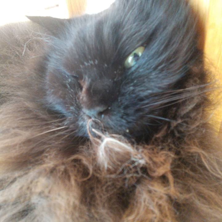 4a954568 3914 4646 ac63 b1630876759f 1699662705679