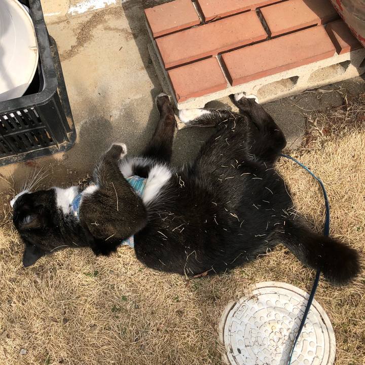 4a95895a 398e 4932 895a 52cb8d87dda1 1518510970205